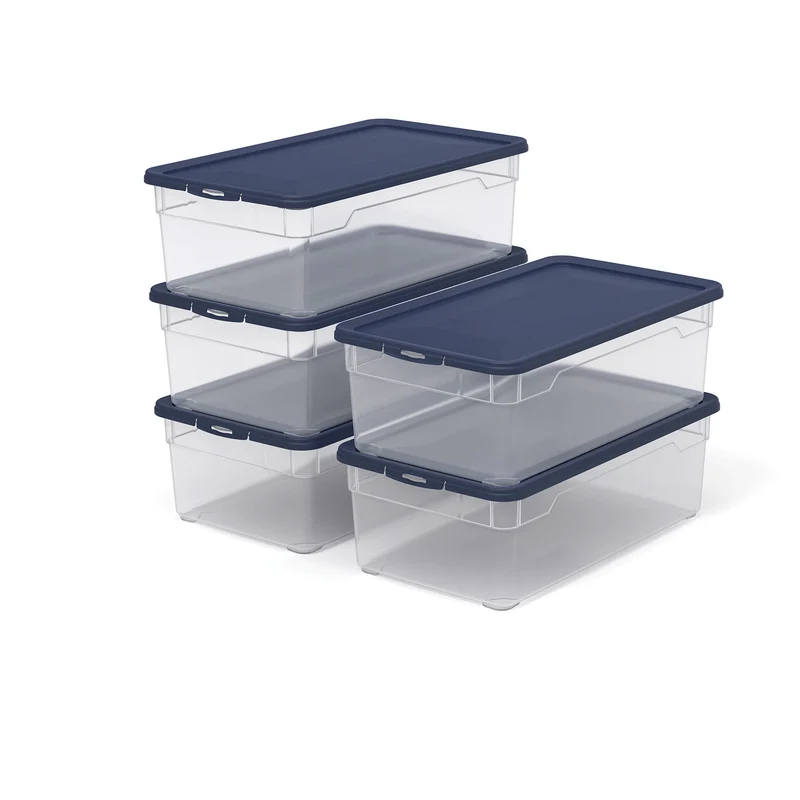 Scatola di Conservazione CLEAR con Coperchio - Set da 5