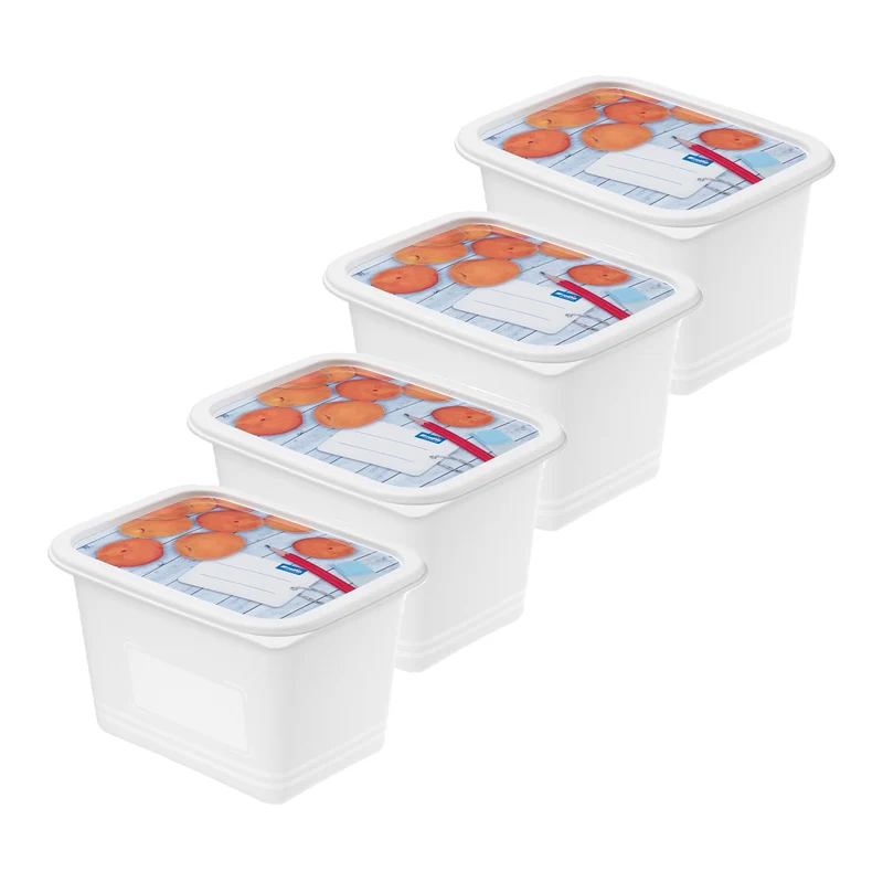 Set 4 pz Contenitore alimenti congelatore 1 l DOMINO