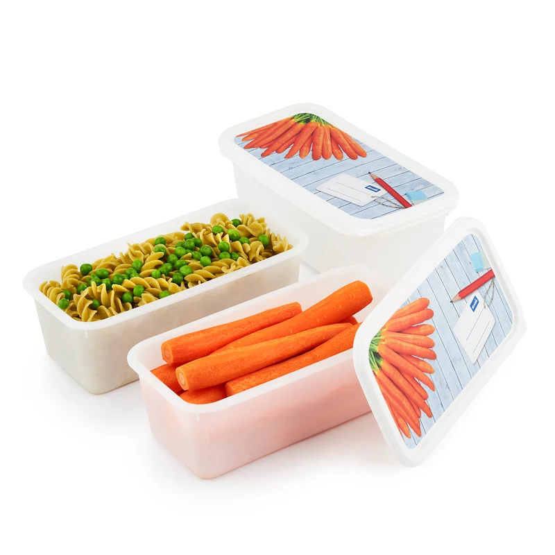 Set 3 pz Contenitore alimenti congelatore 1.2 l DOMINO