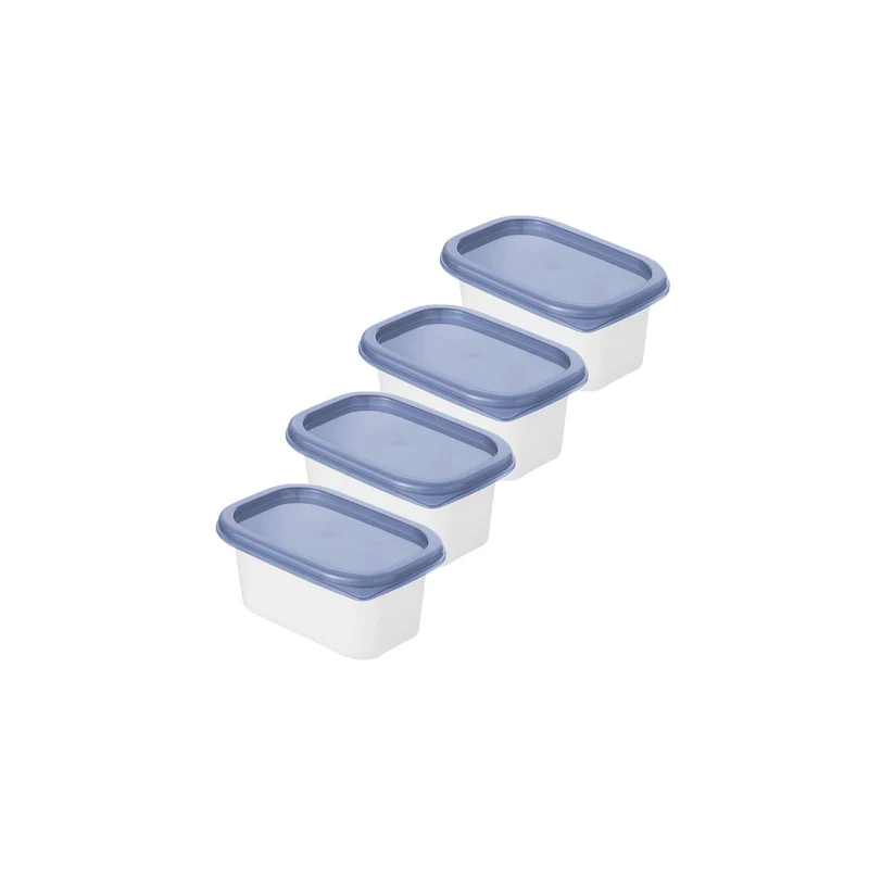 Set 4 pz Contenitore alimenti congelatore 0.2 l DOMINO