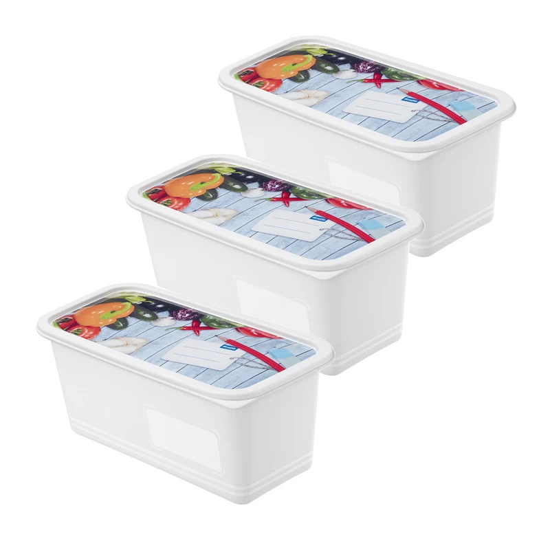 Set 3 pz Contenitore alimenti congelatore 1.5 l DOMINO