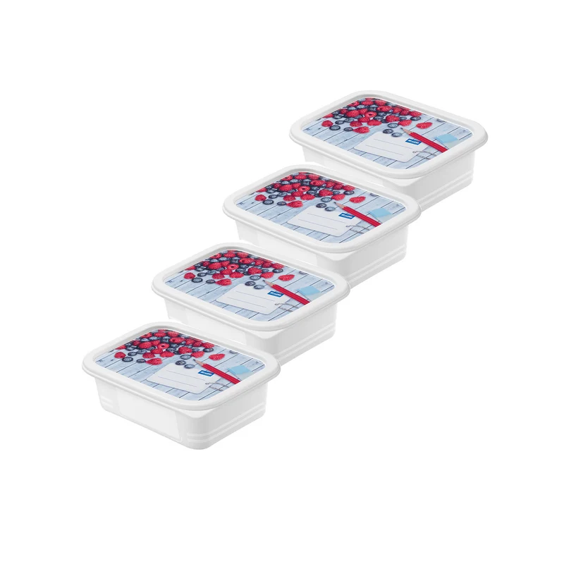 Set 4 pz Contenitore alimenti congelatore 0.5 l DOMINO