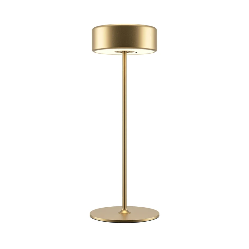 AI Collaboration - Maytoni - Oro - MOD229TL-L3G3K2